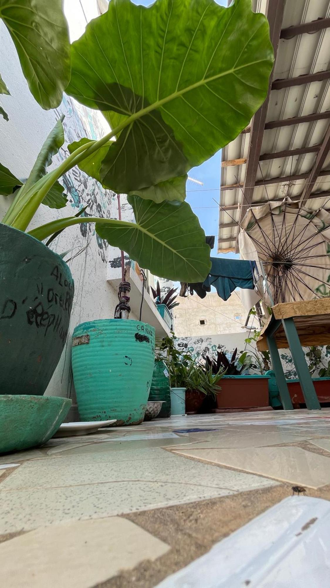 Dar Dyali Rooftop ⁿᵉᵃʳ ⁿᵍᵒʳ ᵇᵉᵃᶜʰ ᵃⁿᵈ ⁱˢˡᵃⁿᵈ 다카르 외부 사진