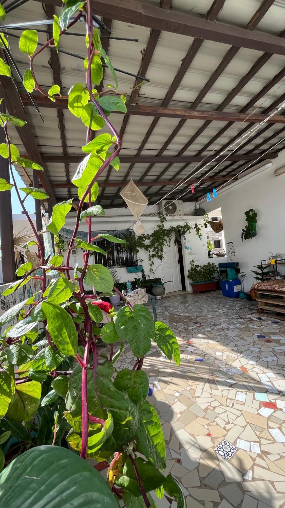 Dar Dyali Rooftop ⁿᵉᵃʳ ⁿᵍᵒʳ ᵇᵉᵃᶜʰ ᵃⁿᵈ ⁱˢˡᵃⁿᵈ 다카르 외부 사진