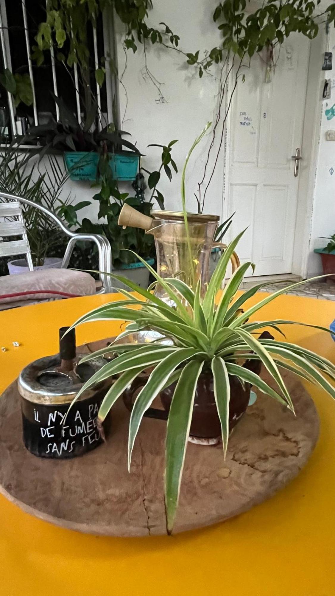 Dar Dyali Rooftop ⁿᵉᵃʳ ⁿᵍᵒʳ ᵇᵉᵃᶜʰ ᵃⁿᵈ ⁱˢˡᵃⁿᵈ 다카르 외부 사진